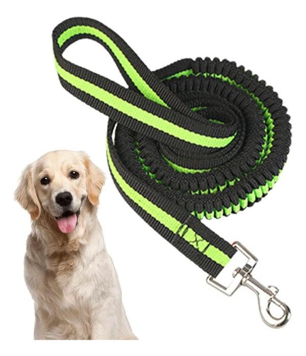 Correa Para Perro Elástica 1.20m Resistente De Alta Calidad Gancho Metalico Color Verde