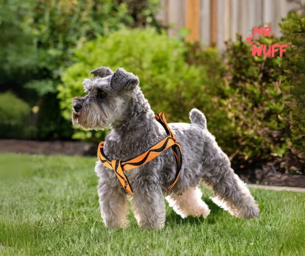 Pechera Arnes De Seguridad Para Perros Resistente Mr Wuff Naranja S - Imagen 9