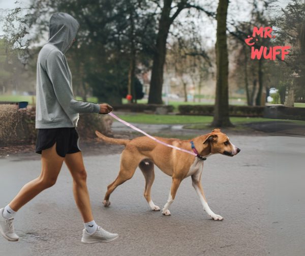 Correa Para Perros Grande Resistente Fuerte 1.20m Mr Wuff Rosa - Imagen 4