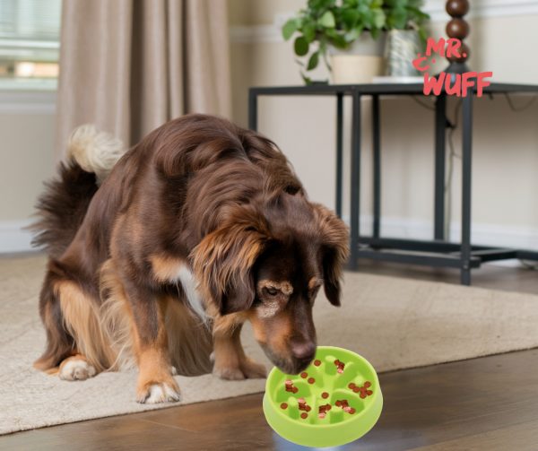 Plato Comedero Para Perro Interactivo Comida Lenta Mr Wuff Verde - Imagen 4