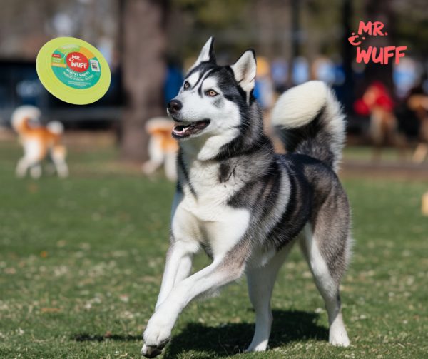 Frisbee Volador Perro Mr Wuff Resistente Flexible Verde - Imagen 3