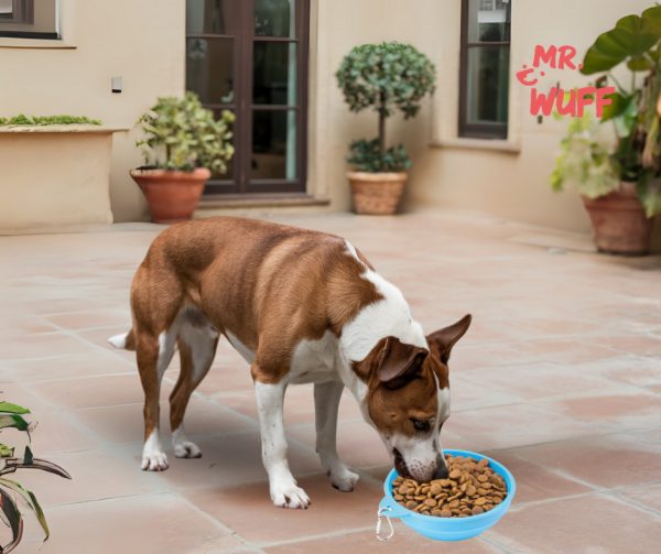 Plato Comedero Para Perro Plegable 17x11x5cm Mr Wuff - Imagen 4