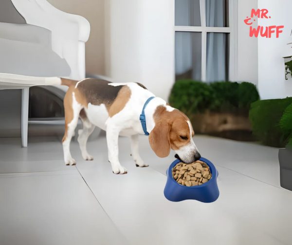 Plato Comedero Para Perro Plastico Mediano 18x15x6cm Mr Wuff Azul - Imagen 6