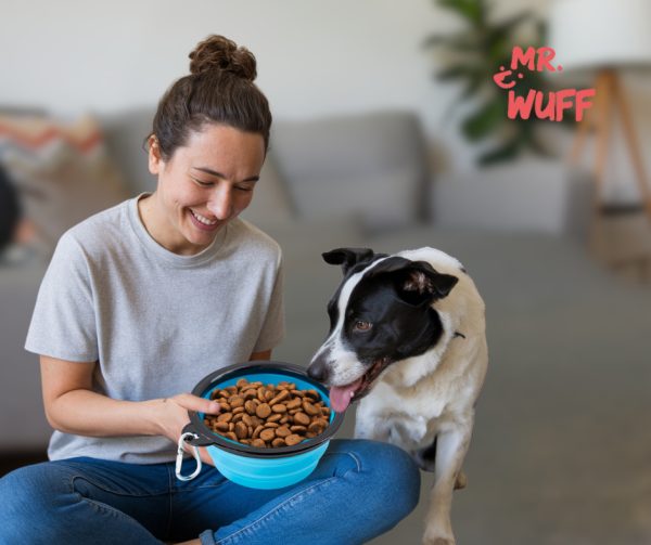 Plato Comedero Para Perro Plegable 155g Mr Wuff Color Azul - Imagen 6