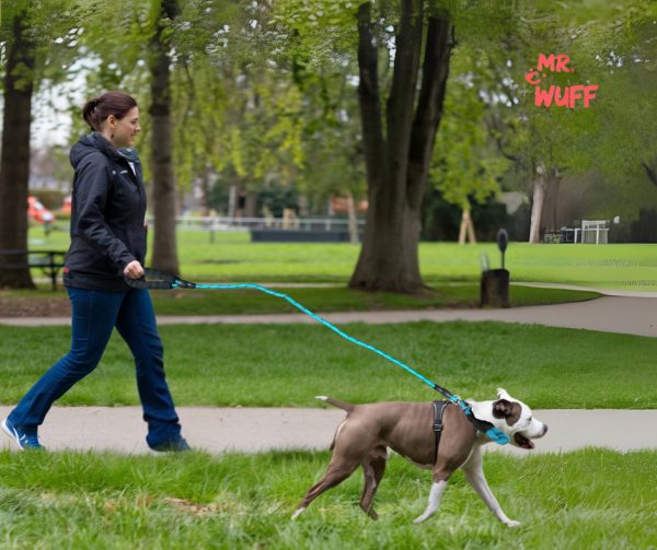 Correa Para Perro Resistente Ajustable Reflejante Mr Wuff Azul - Imagen 7