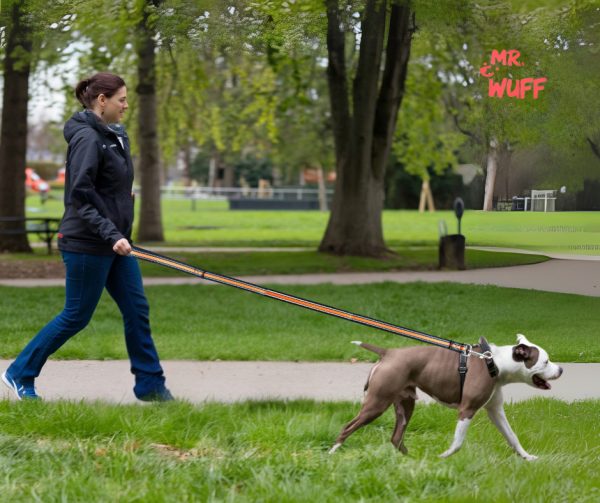 Correa Para Perro Resistente Fuerte Reflejante Mr Wuff Naranja - Imagen 7