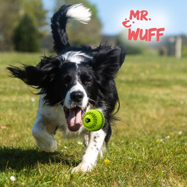 Pelota Para Perro Juguete Resistente Dispensadora De Premios Mr Wuff Grande Color Verde - Imagen 5