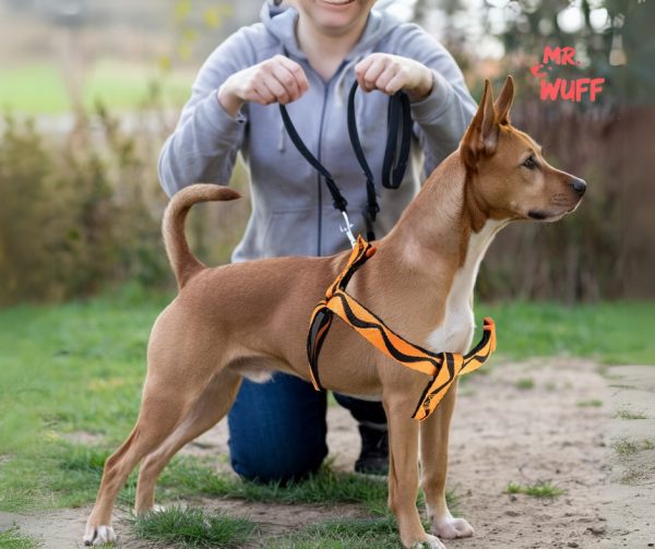 Pechera Arnes De Seguridad Para Perros Resistente Mr Wuff Naranja S - Imagen 8