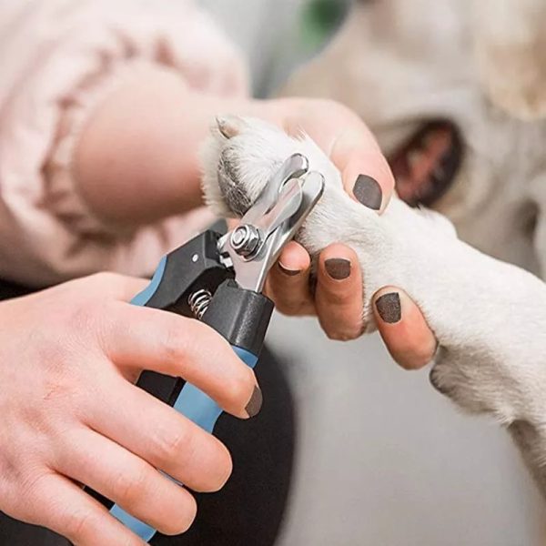 Corta Uñas Perro Gato Mascota Mr Wuff Antdeslizante - Imagen 8