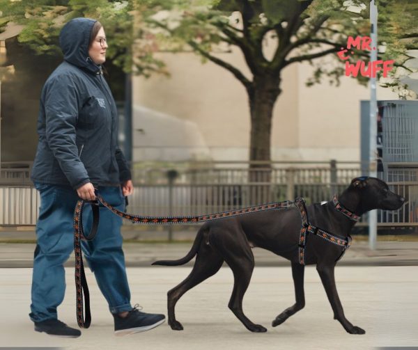 Pechera Arnés De Seguridad Perro Con Correa Y Collar Mr Wuff Negro M - Imagen 6