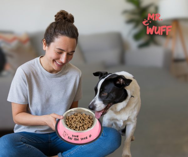 Plato Comedero Perro Antidezlizante 765 G 27oz 26 Cm Mr Wuff Rosa - Imagen 6