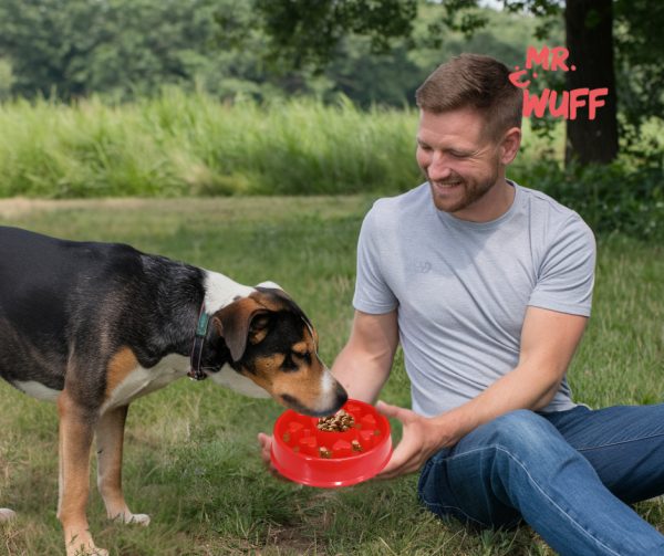 Plato Comedero Para Perro Interactivo Comida Lenta Mr Wuff Color Rojo Corazon - Imagen 6