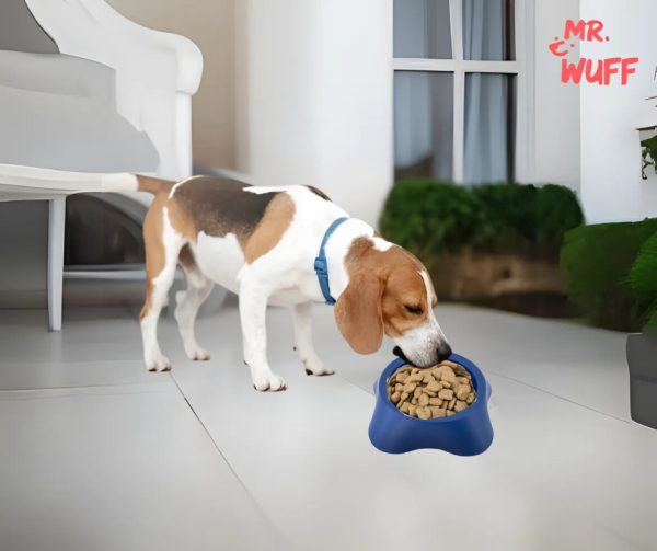 Plato Comedero Para Perro Plastico Mediano 18x15x6cm Mr Wuff Color Azul - Imagen 5