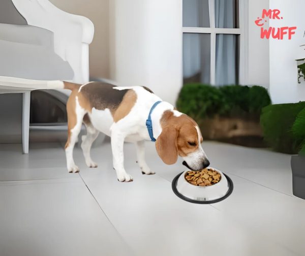 Plato Comedero Perro Antidezlizante 170 G 6 Oz 16 Cm Mr Wuff Plateado - Imagen 7