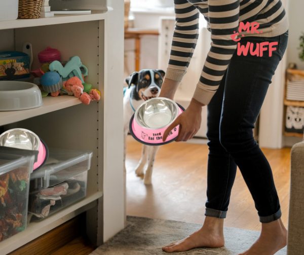 Plato Comedero Perro Antidezlizante 765 G 27oz 26 Cm Mr Wuff Rosa - Imagen 8