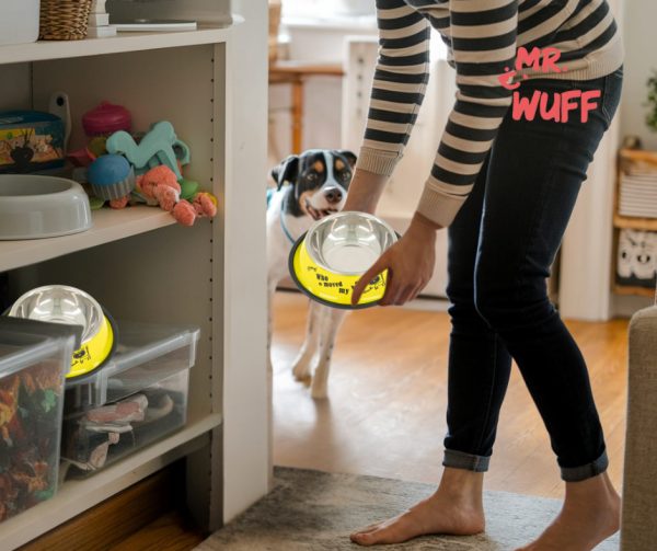 Plato Comedero Perro Antidezlizante 765 G 27oz 26 Cm Mr Wuff Amarillo - Imagen 8
