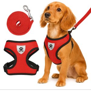 Pechera Perro Arnes Seguridad Mr Wuff Chico Mediano Y Grande Rojo M37-47cm