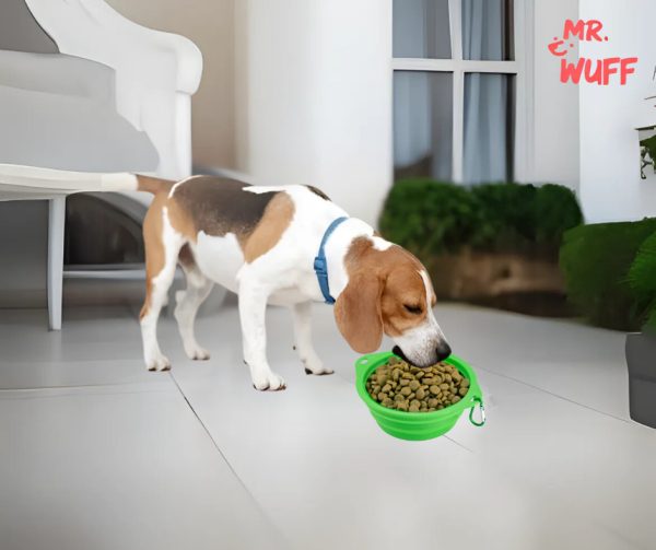 Plato Comedero Para Perro Plegable 16x12x6cm Mr Wuff Verde - Imagen 6