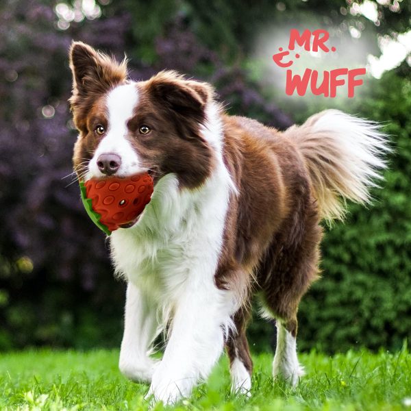 Juguete Para Perro Fresa Dispensadora Interactiva Plástico Mr Wuff - Imagen 6