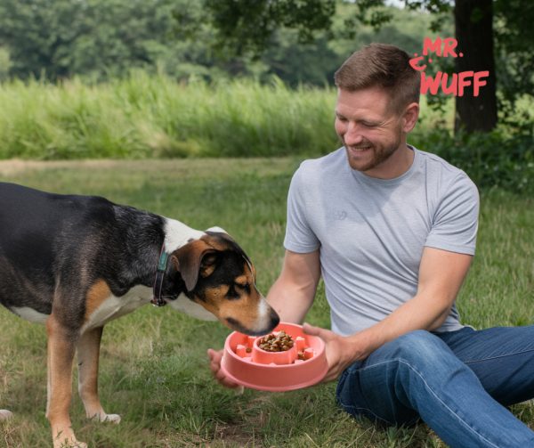 Plato Comedero Para Perro Interactivo Comida Lenta Mr Wuff Color Rosa Corazon - Imagen 6