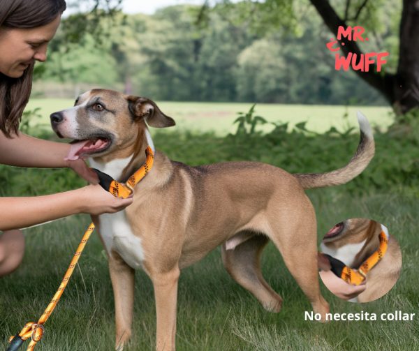 Correa Para Perro Resistente Ajustable Reflejante Mr Wuff Naranja - Imagen 4