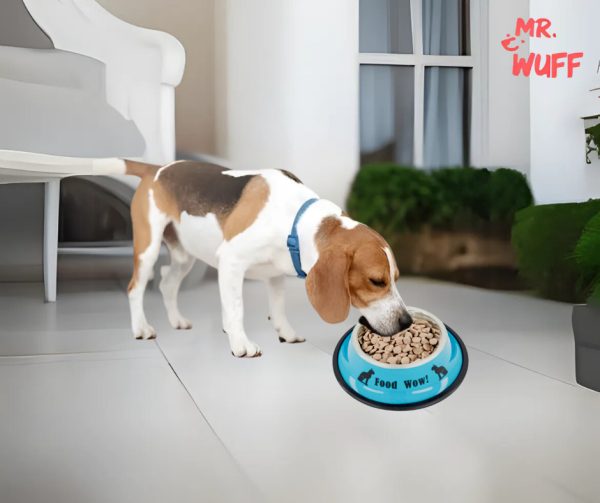 Plato Comedero Perro Antidezlizante 765 G 27oz 26 Cm Mr Wuff Color Azul - Imagen 4