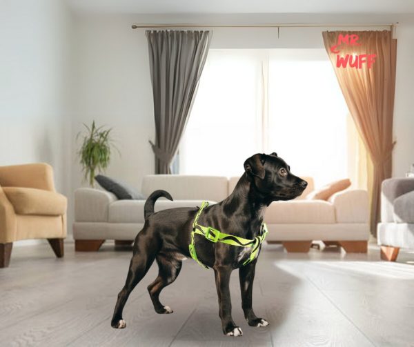 Pechera Arnes De Seguridad Para Perros Resistente Mr Wuff Amarillo S - Imagen 6