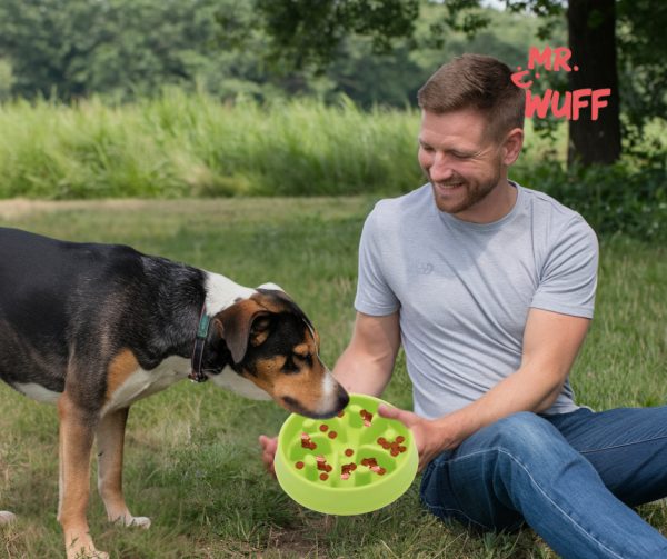 Plato Comedero Para Perro Interactivo Comida Lenta Mr Wuff Verde - Imagen 6
