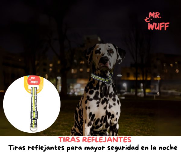 Collar Para Perro Reflejante Cierre Argollas Ajusta Mr Wuff Amarillo Xl - Imagen 6