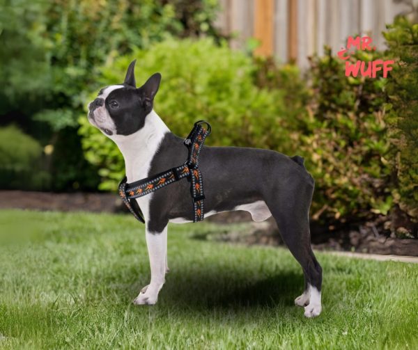 Pechera Arnes De Seguridad Para Perros Resistente Mr Wuff Negro S - Imagen 9