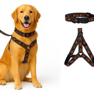 Pechera Arnés De Seguridad Perro Con Correa Y Collar Mr Wuff Negro M