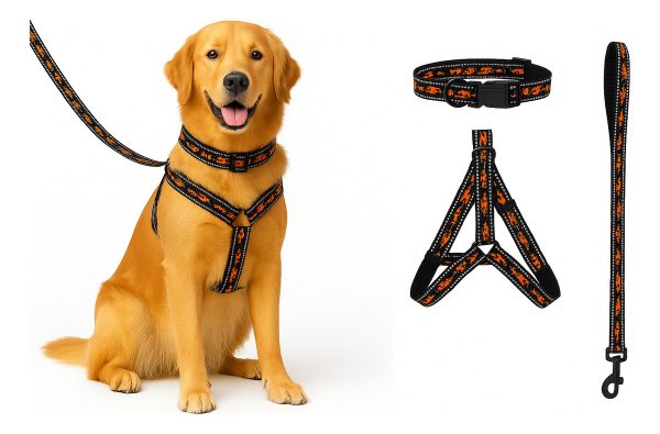 Pechera Arnés De Seguridad Perro Con Correa Y Collar Mr Wuff Negro M