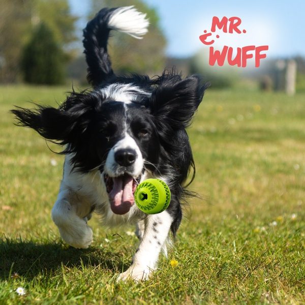 Juguete Pelota Para Croquetas Perro Resistente Grande Mr.w Color Azul - Imagen 7