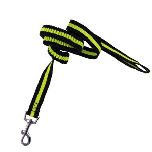 Collar Correa Para Perro Elástica 1.20m Arnés Resistente Verde