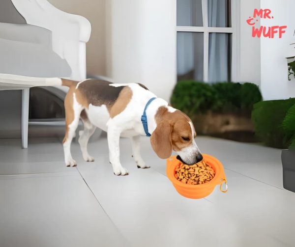 Plato Comedero Para Perro Plegable 16x12x6cm Mr Wuff Color Naranja - Imagen 4