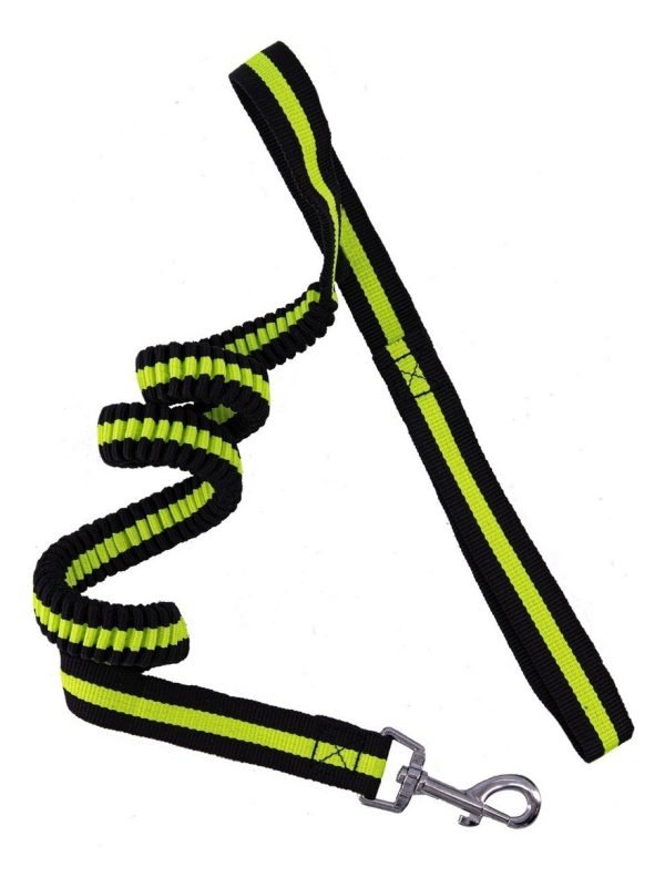 Correa Para Perro Elástica 1.20m Resistente De Alta Calidad Gancho Metalico Color Verde - Imagen 10
