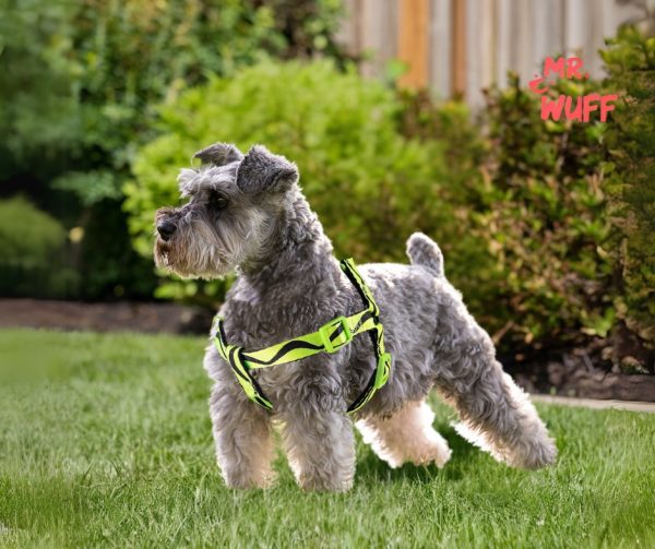 Pechera Arnes De Seguridad Para Perros Resistente Mr Wuff Amarillo S - Imagen 9