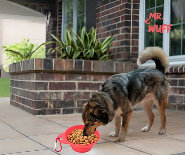 Plato Comedero Para Perro Plegable 11x6x3.5cm Mr Wuff Rosa - Imagen 4