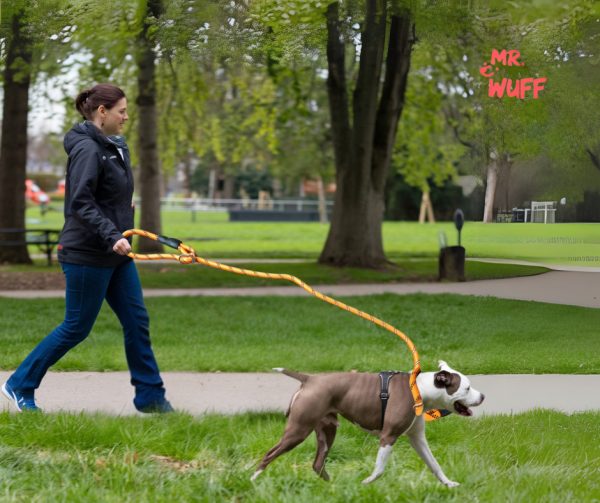 Correa Para Perro Resistente Ajustable Reflejante Mr Wuff Naranja - Imagen 7