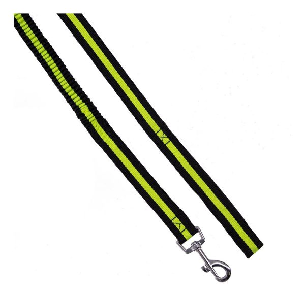 Correa Para Perro Elástica 1.20m Resistente De Alta Calidad Gancho Metalico Color Verde - Imagen 6