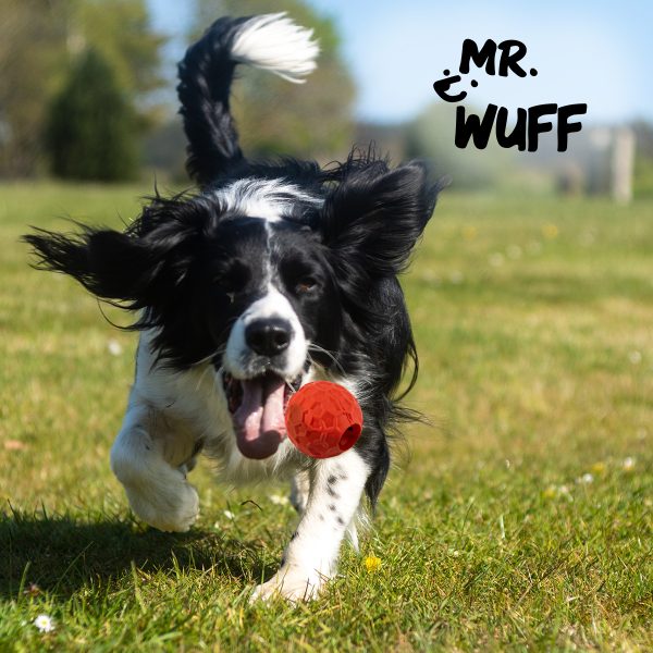 Comedero Para Perros Pelota Juguete Para Mascotas Mr Wuff Rojo Chico - Imagen 5