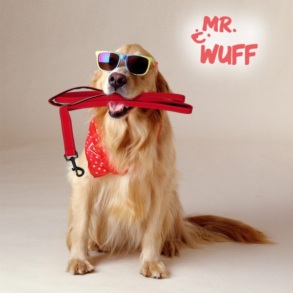 Correa Para Perro Doble Agarre Resistente Antideslizante De Alta Seguridad 1.20m Mr Wuff Color Negro - Imagen 4
