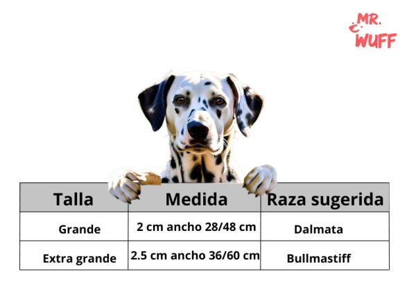 Collar Para Perro Reflejante Broche Ajustable Mr Wuff Verde L - Imagen 3