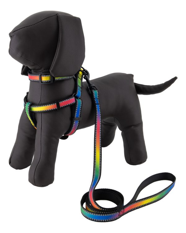 Pechera Arnés De Seguridad Perro Con Correa Y Collar Mr Wuff Multicolor L - Imagen 8