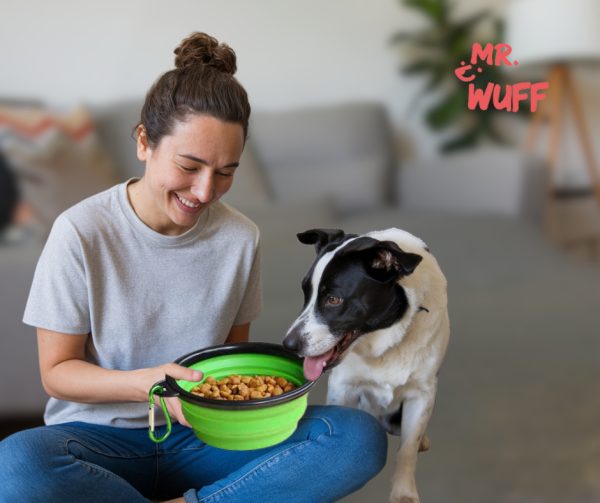 Plato Comedero Para Perro Plegable Interactivo Chico Mr Wuff Verde - Imagen 7