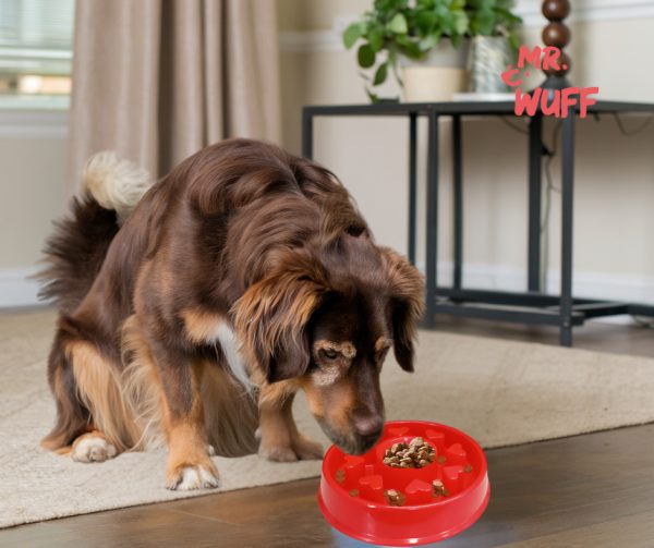 Plato Comedero Para Perro Interactivo Comida Lenta Mr Wuff Color Rojo Corazon - Imagen 4
