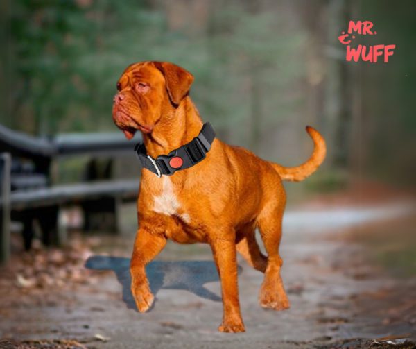 Collar Para Perros Gatos Mascotas Ajustable Mr Wuff Negro Broche L - Imagen 5