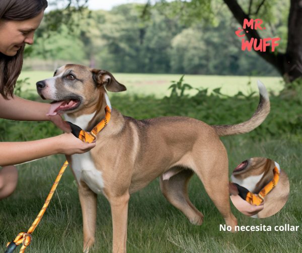 Correa Para Perro Resistente Ajustable Reflejante Mr Wuff Color Naranja - Imagen 4