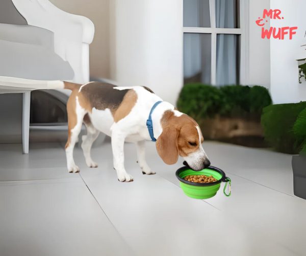 Plato Comedero Perro Plegable Interactivo Grande Mr Wuff Color Verde - Imagen 5