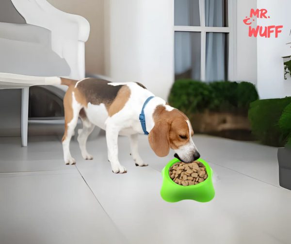 Plato Comedero Para Perro Plastico Mediano 18x15x6cm Mr Wuff Verde - Imagen 5